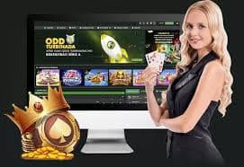 ttslot88 Siapa kami dan bagaimana kami beroperasi